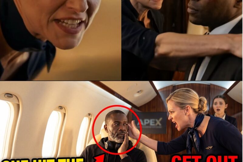 Attendant Slapped Black Billionaire on His Jet — 10 Minutes Later He Destroyed Her Career