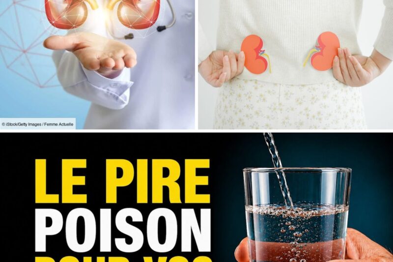 Reins en danger : les 5 poisons cachés qui peuvent abîmer vos reins sans aucun symptôme